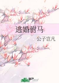 �ӻ�����