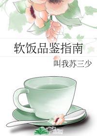 ����Ʒ��ָ��